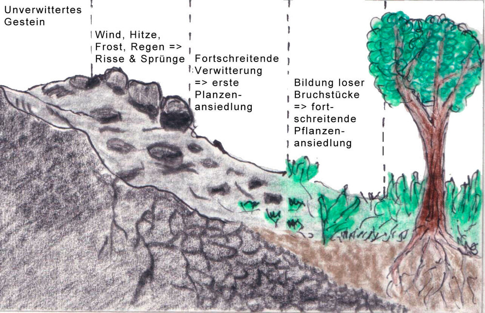 Land Oberösterreich Wie entsteht Boden?
